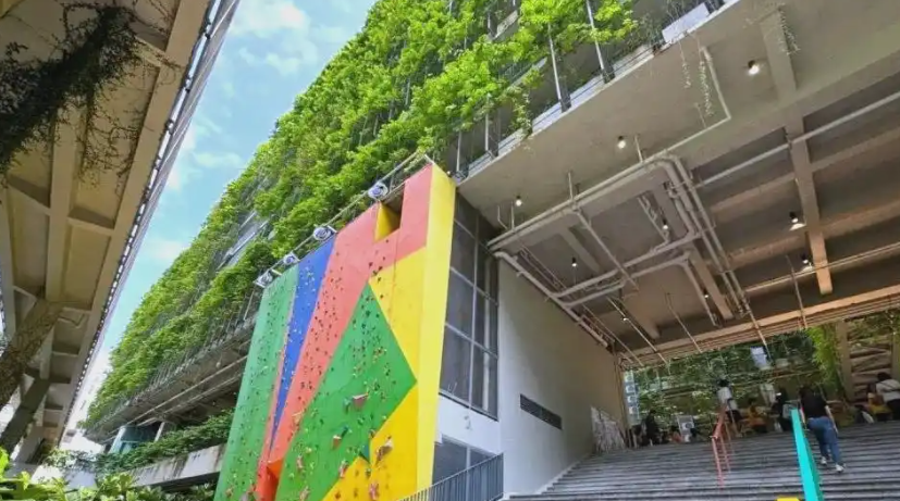 大湾区国际学校开放日深圳国际交流书院，备考咨询招生信息