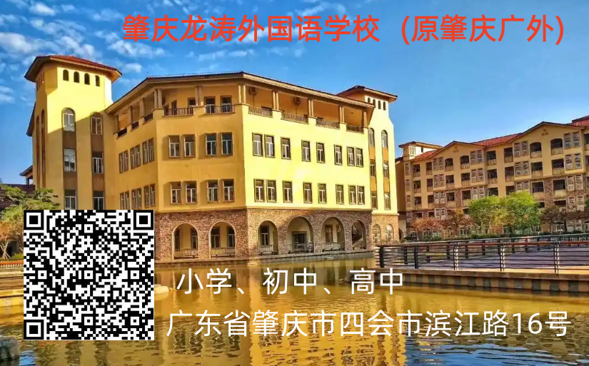 【好消息】湾区名校200个优质学位 | 肇庆龙外为东莞学子开启卓越通道